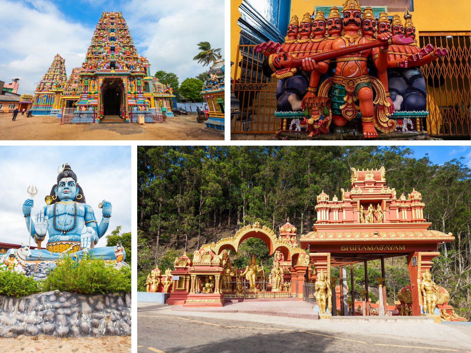 Cultural Tours
